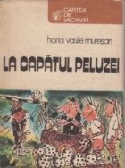 La capatul peluzei