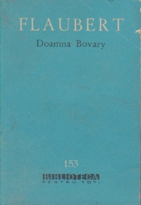 Doamna Bovary (Moravuri de provincie)