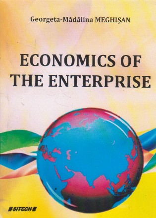 Economics of the enterprise