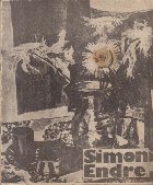 Expozitia Simon Endre - Album