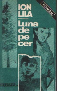 Luna de pe cer