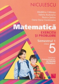 Matematica. Exercitii si probleme pentru clasa a V-a, semestrul 1