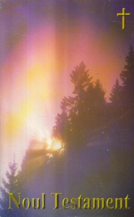 Noul Testament - O traducere in limba romana contemporana