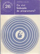 sint limbajele programare