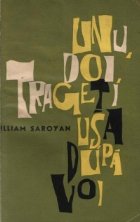 Unu doi trageti usa dupa